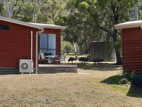 Wonderland Cottages - Holiday Adelaide 3