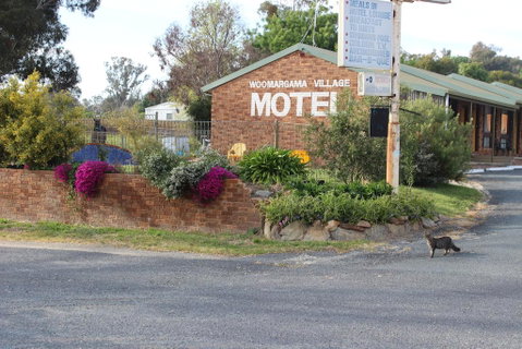 Woomargama Motel - Holiday Adelaide 3