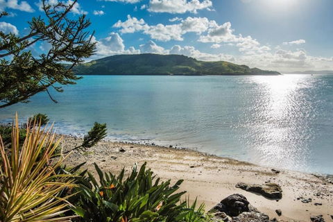 Yacht Club 19 Villa Bijou De Mer Ocean Front Private Pool 2 Buggies - Holiday Adelaide 1