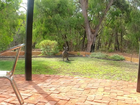 Yallingup Pet Friendly Bush Retreat - Holiday Adelaide 3