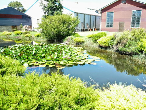 Yarragon Dairy Family Room - Holiday Adelaide 1