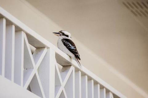 Yeppoon Surfside Motel - Holiday Adelaide 2