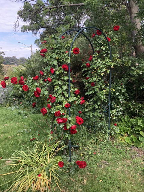 Zen Garde - Holiday Adelaide 2