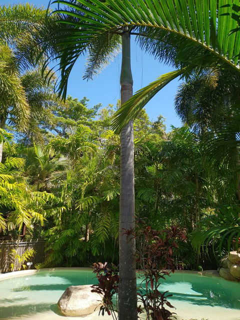 Cassawong Cottages - Holiday Adelaide 16