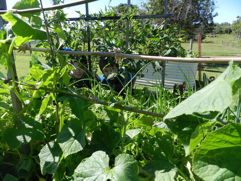 Hay Point Country BnB - Holiday Adelaide 17
