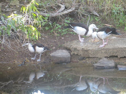 Hay Point Country BnB - Holiday Adelaide 22