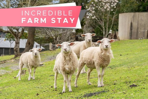 Carawatha On The Range - Unique Farm Stay - Holiday Adelaide 0