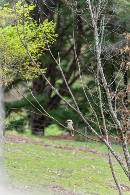 Carawatha On The Range - Unique Farm Stay - Holiday Adelaide 4