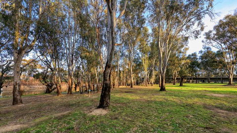 Deniliquin Riverside Caravan Park - Holiday Adelaide 3