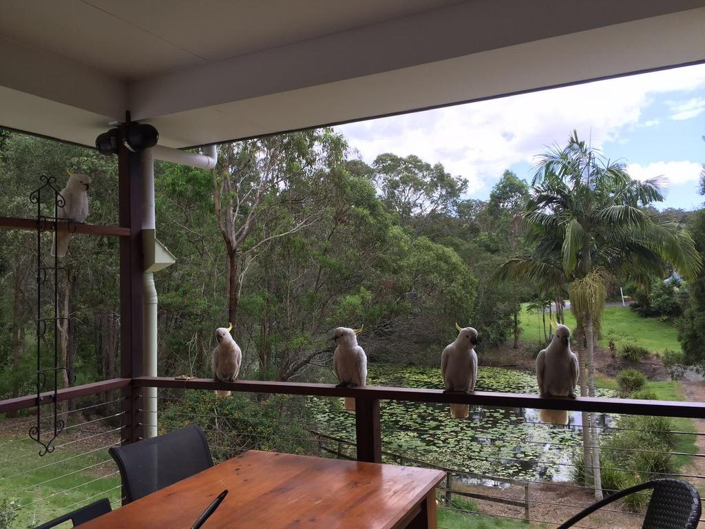Upper Coomera QLD Holiday Adelaide