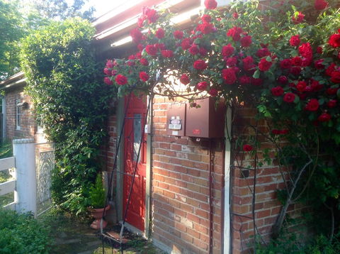 A Country Barn Retreat - Holiday Adelaide 2