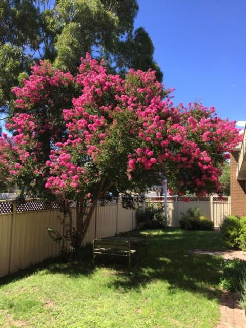 Eaglehawk Motel Bendigo - Holiday Adelaide 4