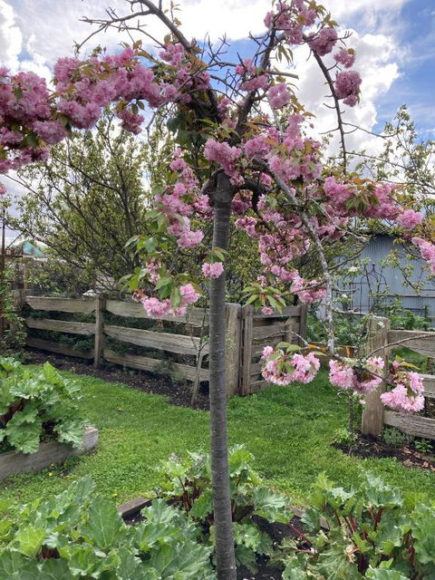Elm Cottage Barn - Holiday Adelaide 2