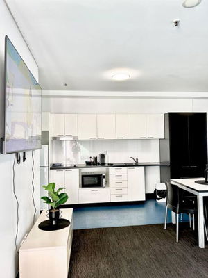 entire 2BR Central Apt 1004