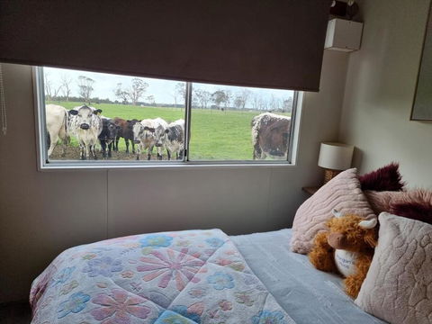 Farmstay - Holiday Adelaide 1