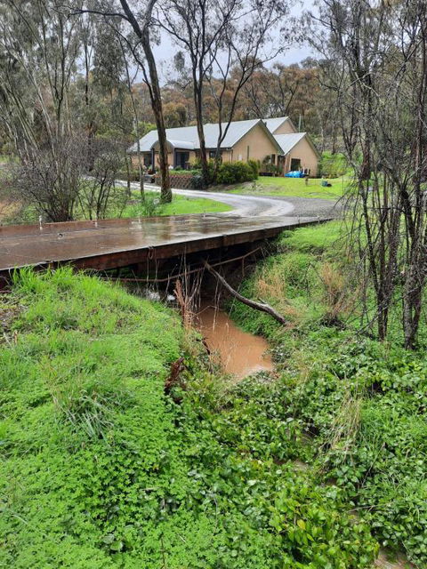 Frogmouth Hollow - Holiday Adelaide 4