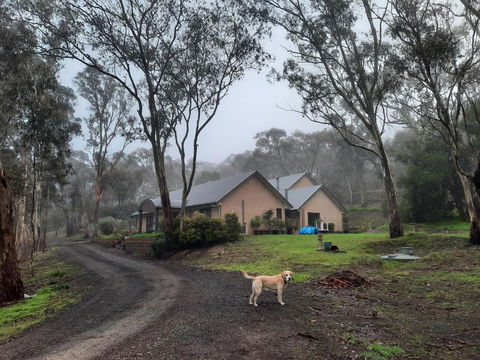 Frogmouth Hollow - Holiday Adelaide 0
