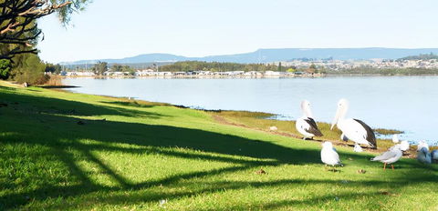 Golf Place Inn Wollongong - Holiday Adelaide 3