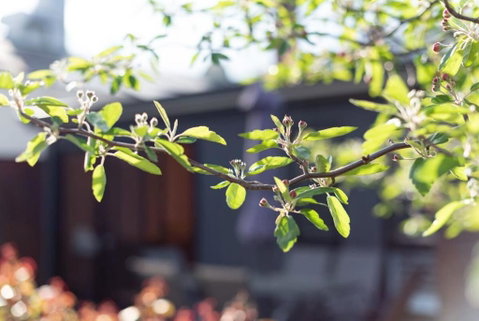 Gorgeous On Gleadow: The Twin - Holiday Adelaide 4