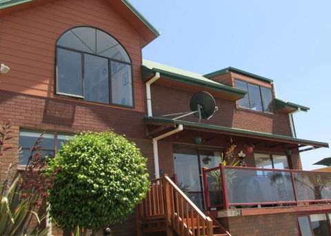 High On Penguin - Holiday Adelaide 3