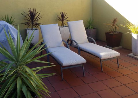 High On Penguin - Holiday Adelaide 1