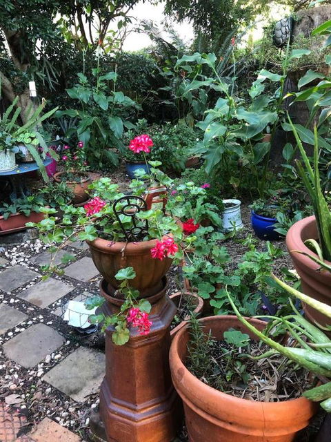 Historic Secluded Garden Cottage - Holiday Adelaide 2