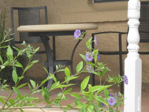 Amalie Cottage Waikerie - Holiday Adelaide 0