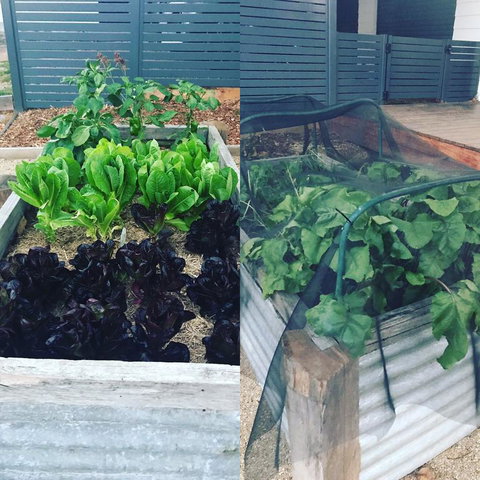 AMs Farm Stay - Holiday Adelaide 3