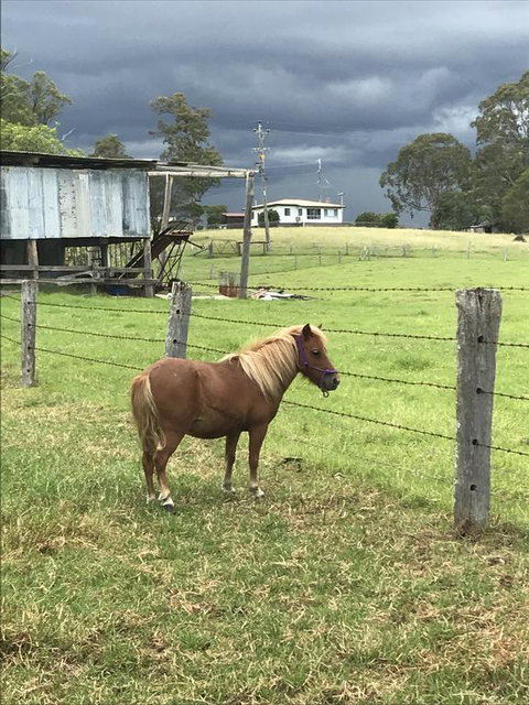 AMs Farm Stay - Holiday Adelaide 0