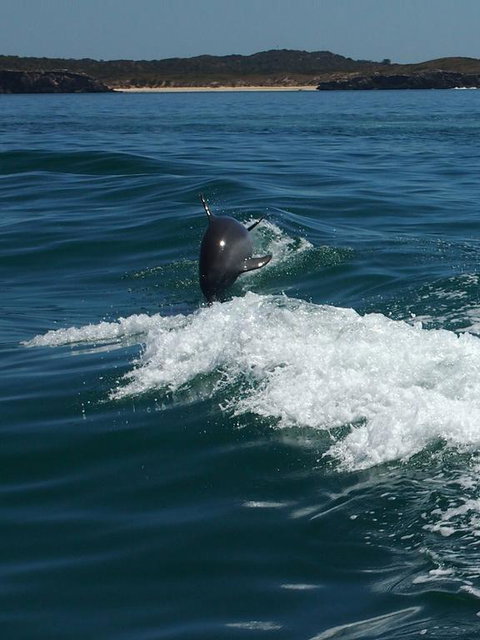 Anchorage Guest House And Self-contained Accommodation - Holiday Adelaide 1