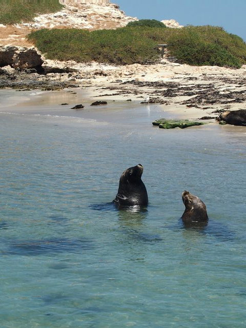 Anchorage Guest House And Self-contained Accommodation - Holiday Adelaide 3