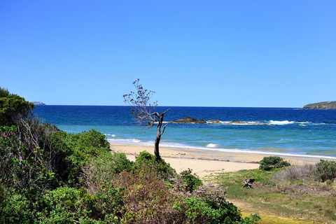 Aqualuna Beach Resort - Unit 25 - Holiday Adelaide 3