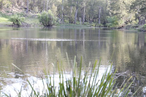 Arcadian Cabin - Southern Highlands River Retreat - Holiday Adelaide 0