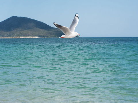 Architectural Design On The Beach - Holiday Adelaide 1