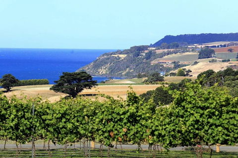 Mallavale Farm, Boat Harbour - Holiday Adelaide 0