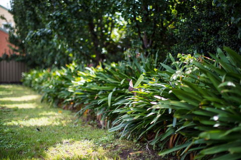 Merivale Motel - Holiday Adelaide 2