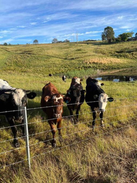 Modern Farmhouse - Holiday Adelaide 3