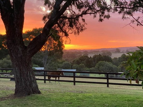 Mount Bold Estate - Luxurious Private Retreat - Holiday Adelaide 0
