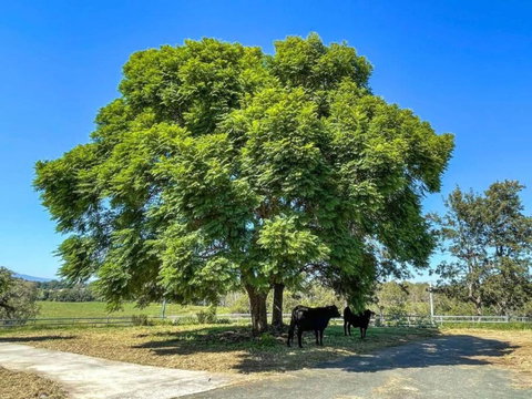 Mountain Majesty With Poolside Relaxing Getaway - Holiday Adelaide 3