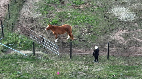 Myrtle At Lexington Park - Holiday Adelaide 1