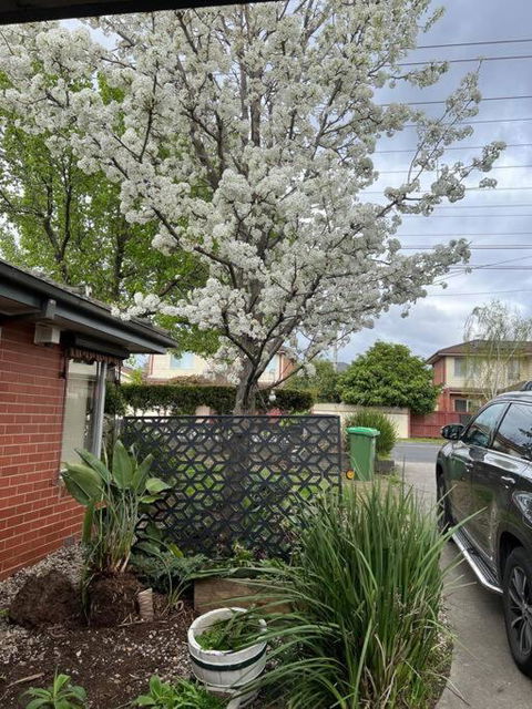 Newly Refurbished House- SuperFast Internet - Holiday Adelaide 2
