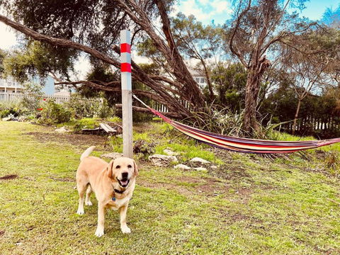 No 34 Where Nature Meets The Ocean Pet Friendly - Holiday Adelaide 2