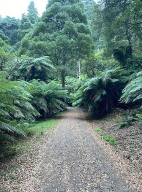 Olinda Enchanted Tower Spa Gas Log Fire And Netflix - Holiday Adelaide 1