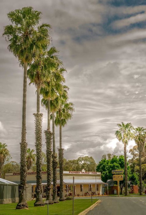 Pioneer Tourist Park - Holiday Adelaide 1
