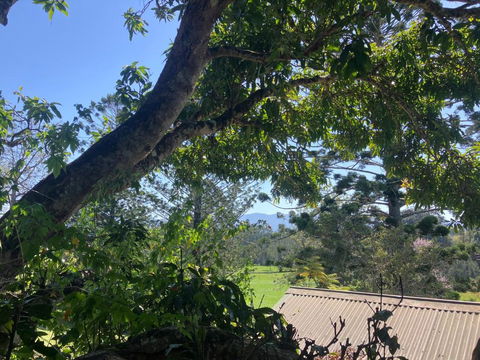 Potters Cottage - Holiday Adelaide 3