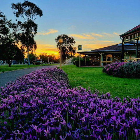 Quality Inn Carriage House - Holiday Adelaide 1