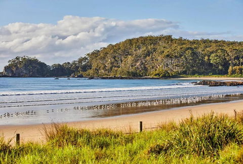 Rare Broulee Beachfront House - Holiday Adelaide 3
