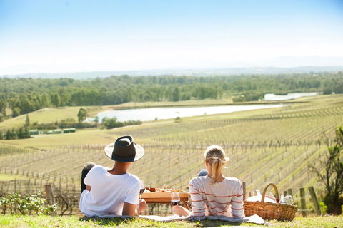 Audrey Wilkinson Vineyard - Holiday Adelaide 0
