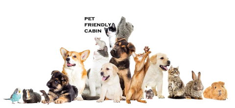 Australian Motor Homes Tourist Park - Holiday Adelaide 1