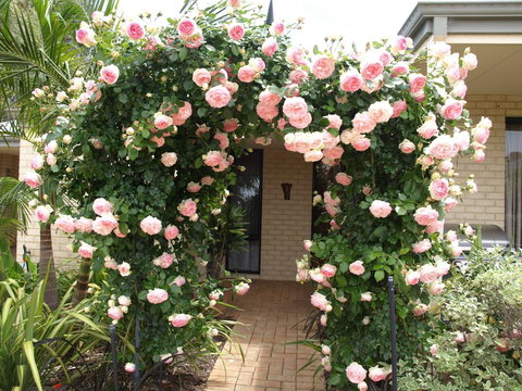 Baudins Of Busselton Bed And Breakfast - Holiday Adelaide 0